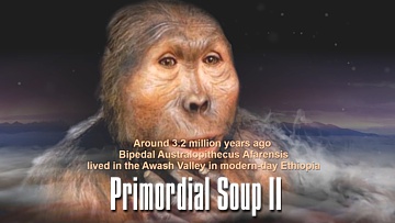 Primordial Soup II
